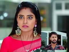 'జగద్ధాత్రి' సీరియల్: దివ్యాంక వలలో చిక్కుకోబోతున్న నిషిక.. సాక్ష్యాలను గల్లంతు చేసే ప్రయత్నంలో యువరాజ్! 