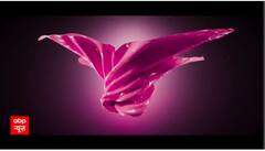 Watch The Full Episode Of Saas Bahu Aur Saazish | SBS (23.01.2024)