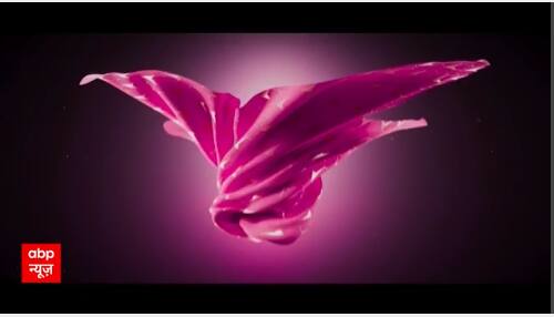 Watch The Full Episode Of Saas Bahu Aur Saazish | SBS (23.01.2024)