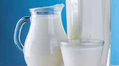 Health Tips : जर तुम्हालाही दूध प्यायला आवडत नसेल तर कॅल्शियम सप्लीमेंट्ससाठी खा हे पदार्थ, मिळतील अनेक फायदे !