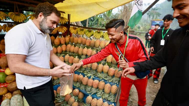 Bharat Jodo Nyay Yatra Congress Leader Rahul Gandhi Sonia Gandhi Meghalaya Best Pineapple in the world Bharat Jodo Nyay Yatra: मेघालय का पाइनएप्पल खाकर राहुल गांधी बोले- वाह! ये तो वर्ल्ड का बेस्ट है, तुरंत लगाया मां सोनिया को फोन