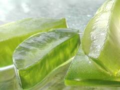Aloe vera Juice : கற்றாழை சாறு குடிப்பதால் உடலுக்கு இத்தனை ஆரோக்கிய நன்மைகளா?