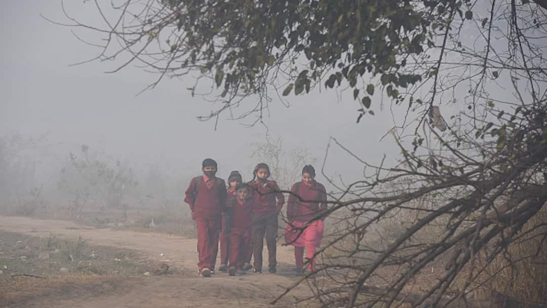 Haryana: Primary Schools To Remain Closed Till January 27 Amid Cold Wave Haryana: Primary Schools To Remain Closed Till January 27 Amid Cold Wave