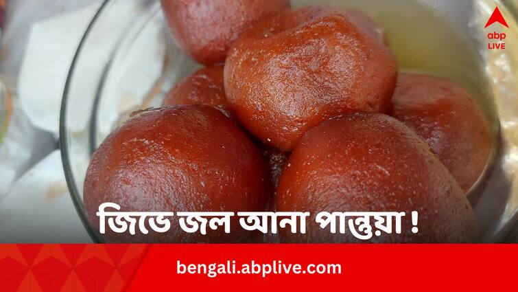 Pantua how to cook at home know recipe Pantua Recipe: বাড়িতেই বানিয়ে ফেলুন এই জিভে জল আনা পান্তুয়া ! লাগবে সামান্য কিছু উপকরণ