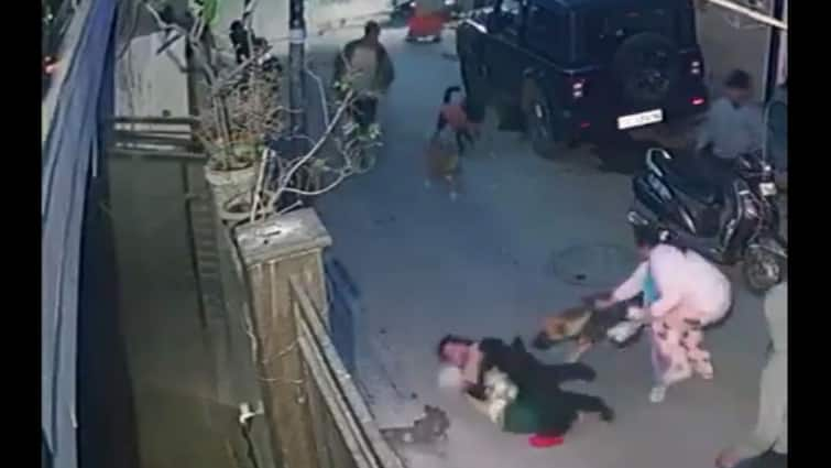 Mother Fights Off Dogs Attacking 2-Year-Old In Delhi Vishwas Nagar Video Goes Viral Caught On Camera: Mother Fights Off Dogs Attacking 2-Year-Old In Delhi's Vishwas Nagar