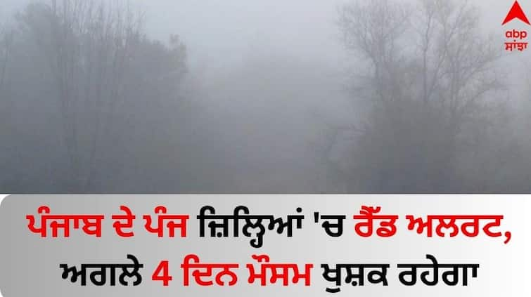 Punjab-weather-update-Red-alert-issued-for-cold-wave-in-these-Five-districts-know-latest-update Weather Update in Punjab: ਪੰਜਾਬ ਦੇ ਪੰਜ ਜ਼ਿਲ੍ਹਿਆਂ 'ਚ ਰੈੱਡ ਅਲਰਟ, ਅਗਲੇ 4 ਦਿਨ ਮੌਸਮ ਖੁਸ਼ਕ ਰਹੇਗਾ