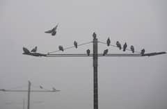 Delhi Weather: दिल्ली की रिकॉर्ड तोड़ ठंड, जानें- 25 जनवरी को कैसा रहेगा मौसम?