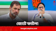 ‘বাংলার ব্যাপারে কোনও সম্পর্ক নেই’, ফের কংগ্রেসকে আক্রমণ মমতার, I.N.D.I.A জোটে দোলাচল