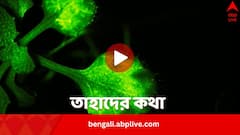 ‘ঝরঝর থত্থর/ কাঁপে পাতা-পত্তর’, কথা বলে গাছেরাও, ক্যামেরায় ধরলেন বিজ্ঞানীরা