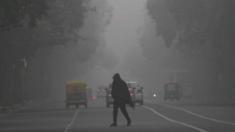 Delhi Weather Updates Several Trains Delayed Fog Poses Trouble To Passengers In National Capital Delhi Weather: Several Trains Delayed As Fog Poses Trouble To Passengers In Capital