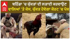 Bathinda Cockfighting| ਬਠਿੰਡਾ 'ਚ ਕੁੱਕੜਾਂ ਦੀ ਲੜਾਈ ਕਰਵਾਉਣ ਵਾਲਿਆਂ 'ਤੇ ਕੇਸ, ਕੁੱਕੜ ਹੋਵੇਗਾ ਕੋਰਟ 'ਚ ਪੇਸ਼