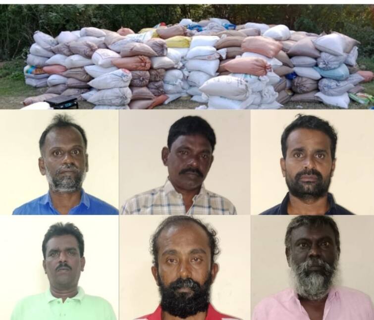 Tirunelveli news 23 tons of ration rice stored in bundles seized - TNN நெல்லையில் மூட்டை மூட்டையாக வயல்வெளியில் பதுக்கி வைத்திருந்த 23 டன் ரேசன் அரிசி பறிமுதல்