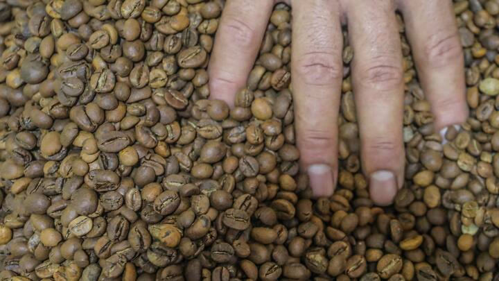 Coffee Export From India Decline 5.4% In 2023 Coffee Export From India Decline 5.4% In 2023