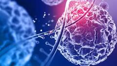 Health Tips: કેન્સરનું જોખમ ઓછું કરવા ડાયટમાં સામેલ કરો આ ફૂડ આઇટમ