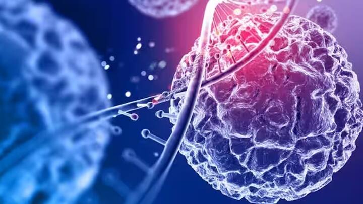 પ્રોસેસ્ડ મીટ કોલોરેક્ટલ અને પેટના કેન્સરના વધતા જોખમ સાથે જોડવામાં આવે છે. તેમાં નાઈટ્રેટ અને નાઈટ્રાઈટ હોય છે. જેના કારણે પ્રોસેસ્ડ ફૂડ ખાવાથી તેઓ પેટમાં અને પાચન દરમિયાન નાઈટ્રોસામાઈન ઉત્પન્ન કરે છે. સ્વાસ્થ્ય નિષ્ણાતોના મતે, ઓછા સોડિયમ અથવા નાઈટ્રાઈટ અને નાઈટ્રેટ મુક્ત માંસ ખાવાની સલાહ આપવામાં આવે છે. સામગ્રી લેબલની તપાસ કરવા અને આરોગ્યપ્રદ વિકલ્પો પસંદ કરવાની પણ સલાહ આપવામાં આવે છે.