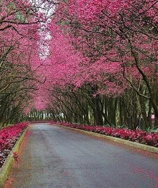 ਮਨਾਲੀ, ਹਿਮਾਚਲ ਪ੍ਰਦੇਸ਼ : ਪਹਾੜੀ ਯਾਤਰੀਆਂ ਲਈ ਹਿਮਾਚਲ ਪ੍ਰਦੇਸ਼ ਪਹਿਲੀ ਪਸੰਦ ਮੰਨਿਆ ਜਾਂਦਾ ਹੈ। ਇੱਥੋਂ ਦੀ ਸਾਫ਼ ਹਵਾ ਇਸ ਨੂੰ ਦੇਸ਼ ਦੇ ਸਭ ਤੋਂ ਸਾਫ਼ ਸਥਾਨਾਂ ਵਿੱਚੋਂ ਇੱਕ ਬਣਾਉਂਦੀ ਹੈ। ਸਰਦੀਆਂ ਵਿੱਚ ਤੁਸੀਂ ਇੱਥੇ ਬਰਫ਼ਬਾਰੀ ਦਾ ਆਨੰਦ ਲੈ ਸਕਦੇ ਹੋ।