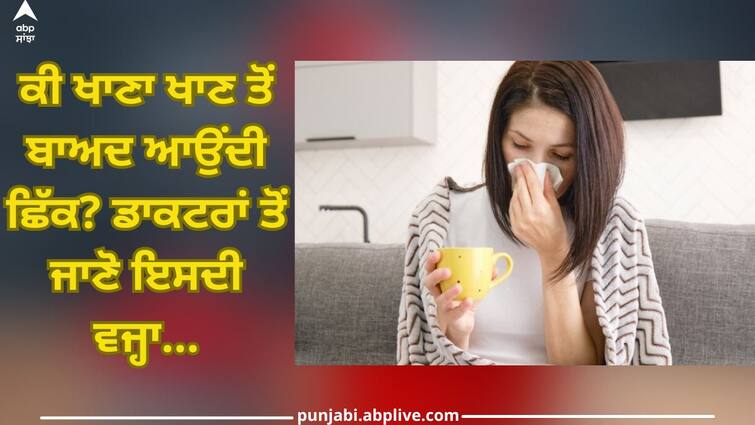 Do you sneeze after eating? Find out the reason behind it from the doctor, this is how to prevent it Sneezing: ਕੀ ਖਾਣਾ ਖਾਣ ਤੋਂ ਬਾਅਦ ਆਉਂਦੀ ਛਿੱਕ? ਡਾਕਟਰਾਂ ਤੋਂ ਜਾਣੋ ਇਸਦੀ ਵਜ੍ਹਾ ਤੇ ਇੰਝ ਕਰੋ ਬਚਾਅ