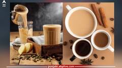 Drinking too much tea side effects: ਜ਼ਿਆਦਾ ਚਾਹ ਪੀਣ ਦੀ ਆਦਤ ਕਰ ਸਕਦੀ ਪ੍ਰੇਸ਼ਾਨ, ਜਾਣੋ ਹੋਣ ਵਾਲੇ ਨੁਕਸਾਨ