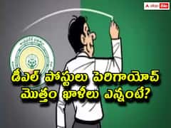 డిగ్రీ లెక్చరర్ పోస్టులు పెరిగాయోచ్! మొత్తం ఖాళీలు ఎన్నంటే? దరఖాస్తు ప్రక్రియ ప్రారంభం