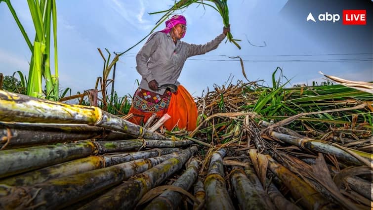 Sugarcane Farmers will get increased ASP in this state after UP and Bihar farmers got relief earlier इस राज्य के गन्ना किसानों को भी मिली खुशखबरी, बढ़ा दिया गया गन्ना मूल्य, यूपी- बिहार पहले ही दे चुके तोहफा