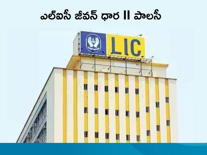 LIC jeevan dhara II Policy Details with non linked non participating annuity plan LIC Policy: ఎల్‌ఐసీ కొత్త పాలసీ, జీవితాంతం కచ్చితమైన ఆదాయానికి హామీ