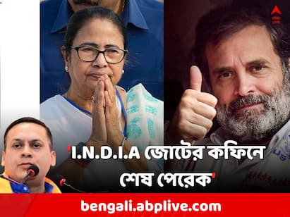 Amit Malviya Attacks Mamata Banerjee Rahul Gandhi  On I.N.D.I.A Alliance Malviya On Mamata: I.N.D.I.A জোটের কফিনে.., মমতার একলা চলার ঘোষণায় কটাক্ষ মালব্যর
