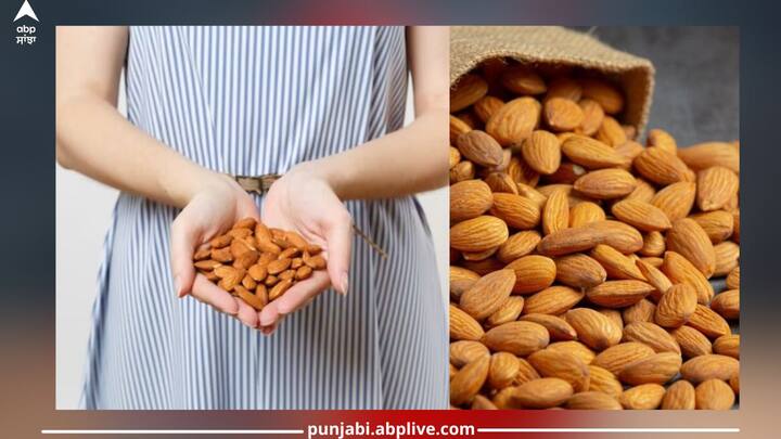 Almonds: ਸਿਹਤ ਮਾਹਿਰਾਂ ਦੇ ਅਨੁਸਾਰ ਔਰਤਾਂ ਨੂੰ ਰੋਜ਼ਾਨਾ ਆਪਣੀ ਖੁਰਾਕ ਵਿੱਚ ਇੱਕ ਮੁੱਠੀ ਬਦਾਮ ਸ਼ਾਮਲ ਕਰਨਾ ਚਾਹੀਦਾ ਹੈ। ਅਜਿਹਾ ਇਸ ਲਈ ਹੈ ਕਿਉਂਕਿ ਇਹ ਪੋਸ਼ਣ ਨਾਲ ਭਰਪੂਰ ਹੁੰਦਾ ਹੈ। ਆਓ ਜਾਣਦੇ ਹਾਂ ਇਸ ਨੂੰ ਖਾਣ ਦੇ ਫਾਇਦਿਆਂ ਬਾਰੇ...