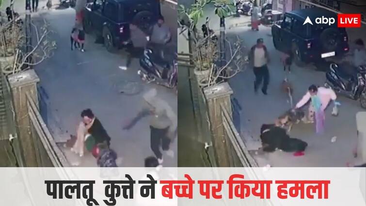 Pet dog turns violent in Delhi attacks 2 year old child fatally watch horrifying video Video: दिल्ली में पालतू कुत्ता हुआ हिंसक, 2 साल के बच्चे पर किया जानलेवा हमला, देखें खौफनाक वीडियो