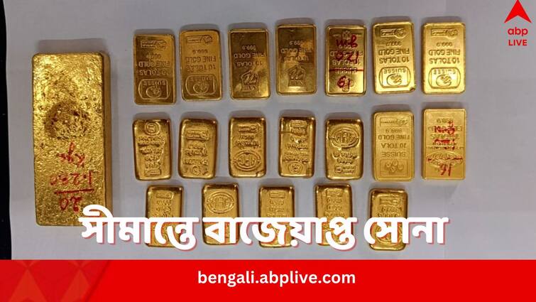 BSF seizes gold of more than two crore rupees one smuggler arrested from Nadia district Indo Bangladesh border Gold Smuggling: ফের সাফল্য বিএসএফের, ভারত-বাংলাদেশ সীমান্তে ২.১৯ কোটি টাকার সোনা-সহ গ্রেফতার পাচারকারী