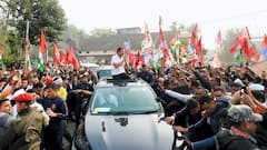 TMC Unlikely To Join Rahul Gandhi During Bharat Jodo Nyay Yatra's Bengal Leg: TMC Leader