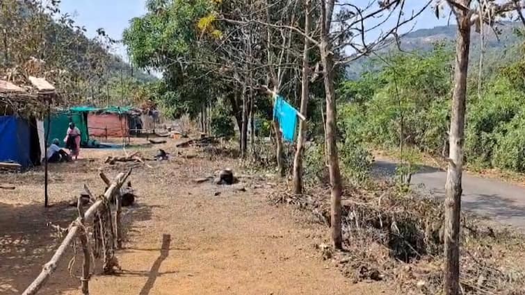 Sindhudurg Shirale Village people Gaopalan starts whole village stays outside Maharashtra News शिरोळे गावाची 450 वर्षांची अनोखी 'गावपळण' परंपरा , देवाने कौल दिल्यानंतर अख्खं गाव आठवडाभर राहते वेशीबाहेर