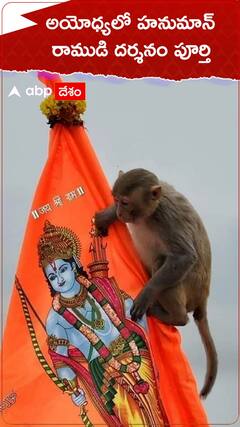 అయోధ్యలో రాముడి దర్శనం చేసుకున్న హనుమాన్...!