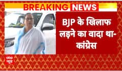 'Can't imagine INDIA Alliance without Mamata Banerjee', says Congress over seat-sharing in Bengal