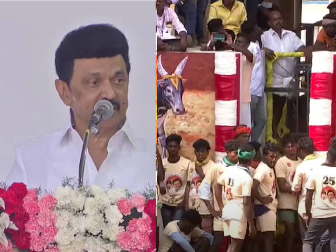 Madurai Jallikattu Ground: தமிழர் பண்பாட்டை அந்த கால ஆளுநர்கள் நன்கு அறிந்திருந்தனர்.. முதலமைச்சர் மு.க.ஸ்டாலின் பதிலடி