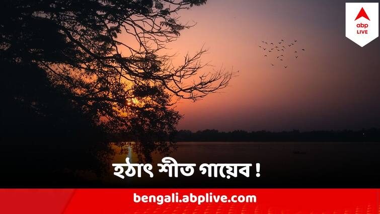 West Bengal Weather Update Temperature jumps to 16 degree in Kolkata on 24 January Weather Update : ১১ ডিগ্রির কাঁপুনির পরই তাপমাত্রায় বিরাট লাফ ! হঠাৎ শীত গায়েব, হলটা কী ?