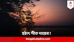 ১১ ডিগ্রির কাঁপুনির পরই তাপমাত্রায় বিরাট লাফ ! হঠাৎ শীত গায়েব, হলটা কী ?