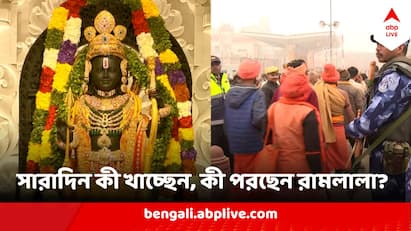 রামচন্দ্র নন, ঘরের ছেলে, আদরের রামলালাকে একটিবারের জন্য চাক্ষুষ করার আকুল আকুতি হাজার হাজার ভক্তের মনে।