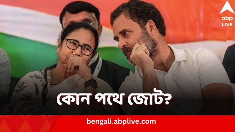 Congress leader Jairam Ramesh says he can not imagine INDIA Alliance without Mamata Banerjee amid ongoing tussle I.N.D.I.A Alliance: ‘মমতাকে ছাড়া জোট ভাবাই যায় না’, টানাপোড়েনের মধ্যেই ঘোষণা কংগ্রেসের