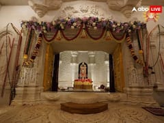 Ayodhya Ramlala: બીજા દિવસનો શ્રૃંગાર, માથા પર મુગટ, ગળામાં માળા, આવા દેખાતા હતા રામલલા