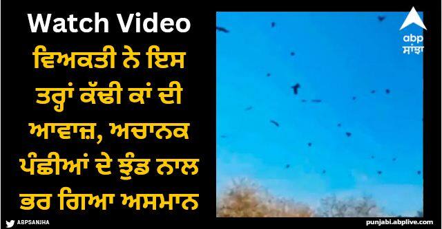 man imitated sound of crows suddenly sky fills with flock of birds watch video Viral Video: ਵਿਅਕਤੀ ਨੇ ਇਸ ਤਰ੍ਹਾਂ ਕੱਢੀ ਕਾਂ ਦੀ ਆਵਾਜ਼, ਅਚਾਨਕ ਪੰਛੀਆਂ ਦੇ ਝੁੰਡ ਨਾਲ ਭਰ ਗਿਆ ਅਸਮਾਨ, ਦੇਖੋ ਵੀਡੀਓ