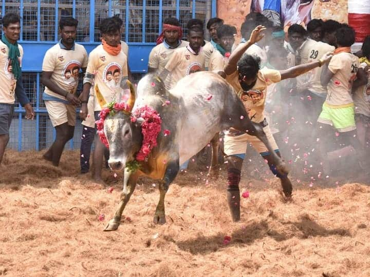 மதுரை மாவட்டம் அலங்காநல்லூர் அருகே கீழக்கரையில் ஜல்லிகட்டு அரங்கத்தில் நடைபெற்ற முதல் ஜல்லிக்கட்டு மாண்புமிகு முதலமைச்சர் துவக்கி வைக்க  கோலாகலமாக நடந்துமுடிந்தது.