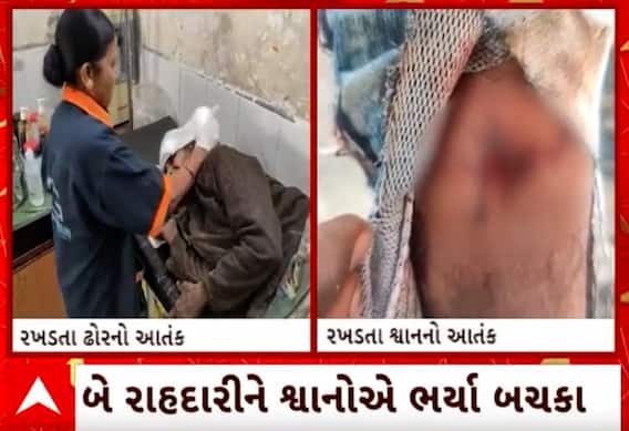Rajkot Stray Cattle Terror | ક્યાંક રખડતા ઢોરે લીધા વૃદ્ધાને અડફેટે તો ક્યાંક કૂતરાઓનો આતંક