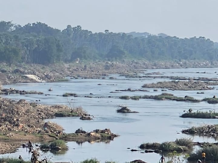 Thamirabarani River: ஜீவனை இழக்கும் நிலையில் வற்றாத ஜீவநதி தாமிரபரணி- குப்பைகளால் மூச்சு திணறும் நிலை