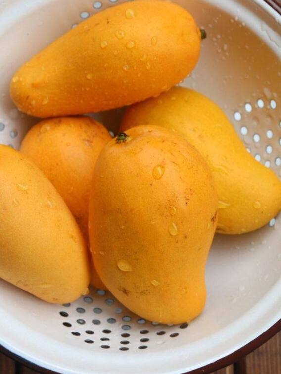 ये हैं दुनिया के 6 सबसे महंगे आम