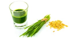 व्हीटग्रास ड्रिंक 30 दिनों तक रोजाना पिएं, फिर देखें कैसे पतली होती है कमर