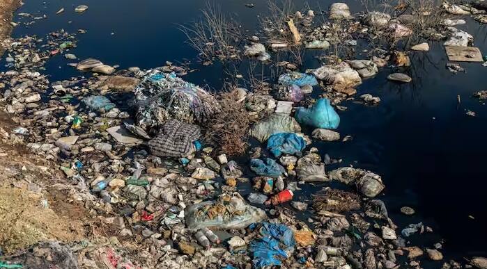 આ કચરાના કારણે દરિયાઈ જીવો પણ મરી રહ્યા છે. દરિયામાં ઘણા ડેડ ઝોન પણ બન્યા છે. ડેડ ઝોન એટલે કે આ દરિયાઈ વિસ્તારોમાં જીવનની શક્યતા ખતમ થઈ રહી છે.