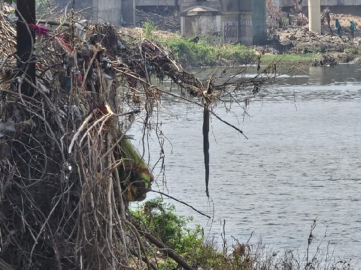 Thamirabarani River: ஜீவனை இழக்கும் நிலையில் வற்றாத ஜீவநதி தாமிரபரணி- குப்பைகளால் மூச்சு திணறும் நிலை