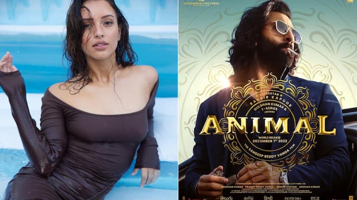 Tripti Dimri On Animal: रणबीर कपूर की फिल्म एनिमल बॉक्स ऑफिस पर हिट रही है. इस फिल्म में तृप्ति डिमरी का ज्यादा बड़ा रोल नहीं था लेकिन अपनी एक्टिंग से उन्होंने सभी को इंप्रेस कर दिया है.