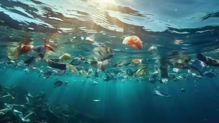 જો તમે દરિયા પ્રેમી છો અને દરિયાની આસપાસ રહેવાનું પસંદ કરો છો, તો તમારા માટે ખરાબ સમાચાર છે. હકીકતમાં આખો દરિયો હવે પ્લાસ્ટિકના કચરાથી ભરાઈ રહ્યો છે. દર વર્ષે લાખો ટન કચરો દરિયામાં ફેંકવામાં આવે છે.