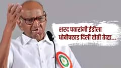 ईडीच्या कारवाईचा धक्का की राष्ट्रवादीला राजकीय बुस्टर डोस? शरद पवारांप्रमाणे नातू रोहित पवार बाजी पलटवणार का? काय होता तो किस्सा?